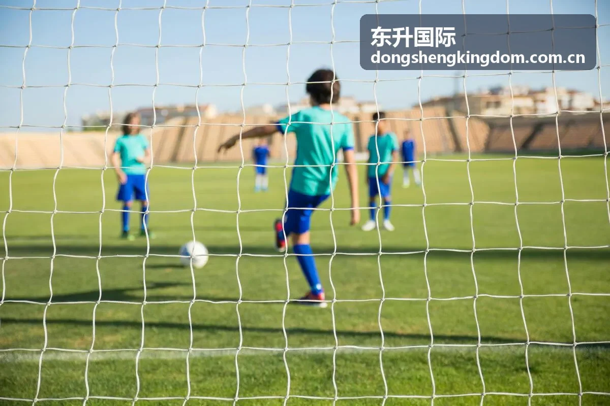 东升国际账户服务界面与信息管理